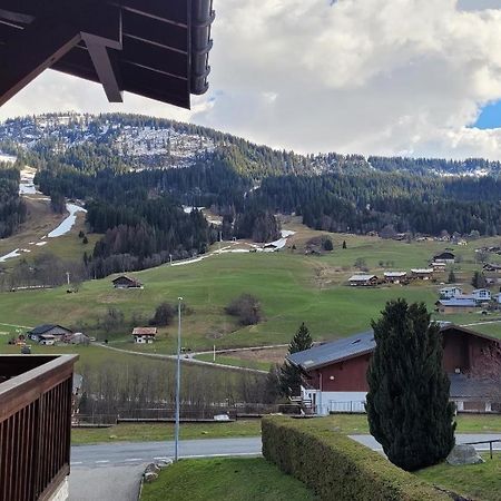 Appartement 1 Chambre Avec Garage Praz-sur-Arly Zewnętrze zdjęcie
